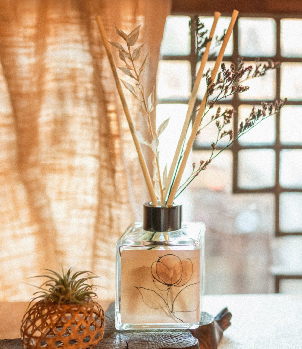 9c43077eeab8719a8e5ecad6b42a8f33_1708493938_0393.png 9c43077eeab8719a8e5ecad6b42a8f33_1708493938_0393.png