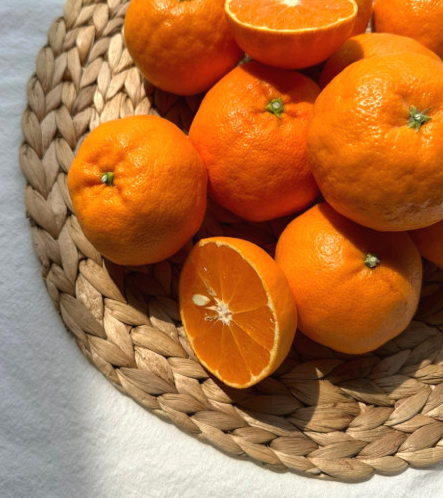 00d572352782469b9dcb9cf307b05e7d_1710985497_616.png 00d572352782469b9dcb9cf307b05e7d_1710985497_616.png