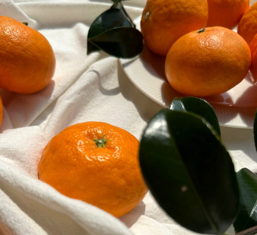 00d572352782469b9dcb9cf307b05e7d_1710985497_771.png 00d572352782469b9dcb9cf307b05e7d_1710985497_771.png