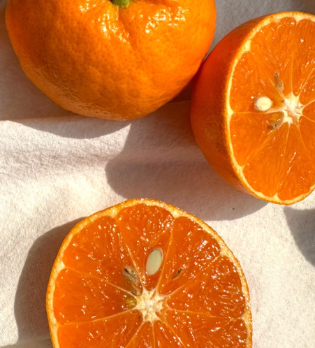 00d572352782469b9dcb9cf307b05e7d_1710985497_8941.png 00d572352782469b9dcb9cf307b05e7d_1710985497_8941.png