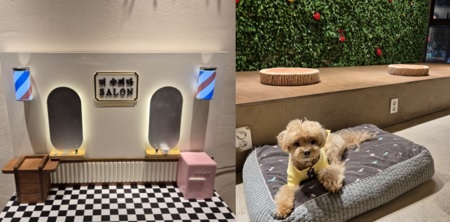 04a80768f41e114fe1aae7754990fcd9_1710217723_9522.jpg 04a80768f41e114fe1aae7754990fcd9_1710217723_9522.jpg