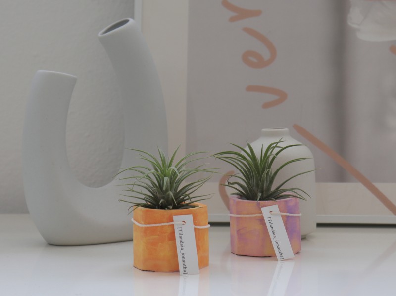 4dfa3a9b77ca3f315704cb041a90be0d_1709777535_8252.jpg 4dfa3a9b77ca3f315704cb041a90be0d_1709777535_8252.jpg