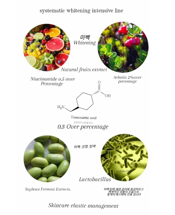 944687fe05c0e5dc1cddb43edb6c195c_1710214211_4579.png 944687fe05c0e5dc1cddb43edb6c195c_1710214211_4579.png