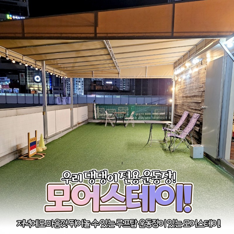 aa3e5f59d5f0aa80281c40308e9ebe81_1711673157_0576.jpg aa3e5f59d5f0aa80281c40308e9ebe81_1711673157_0576.jpg