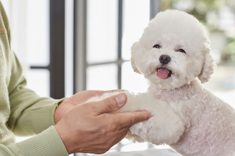 b16dbe21456f4be228c6b62a73712d04_1711686387_4207.jpg b16dbe21456f4be228c6b62a73712d04_1711686387_4207.jpg