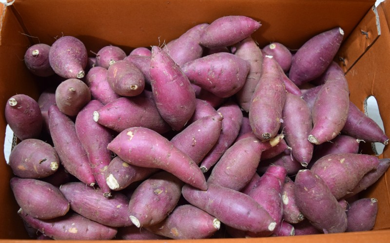 cc6c26e6ea3fa53f71ea7bd2345bc5e6_1711515672_0583.jpg cc6c26e6ea3fa53f71ea7bd2345bc5e6_1711515672_0583.jpg