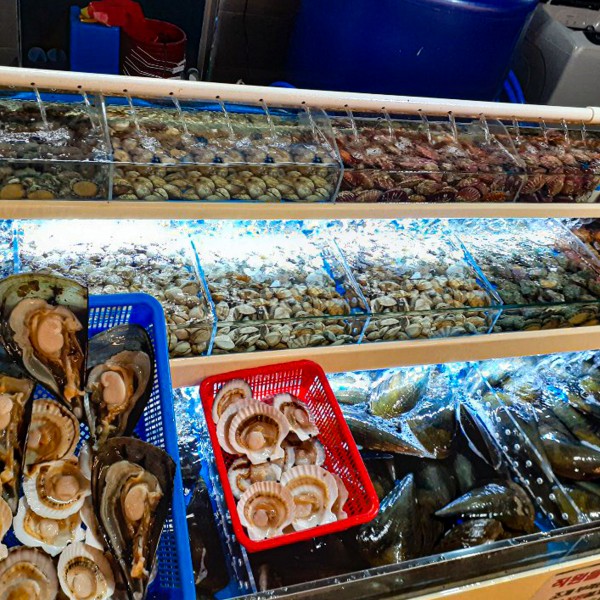 35825cd578552207f8b651da23ecb2b9_1714116674_3718.jpg 35825cd578552207f8b651da23ecb2b9_1714116674_3718.jpg