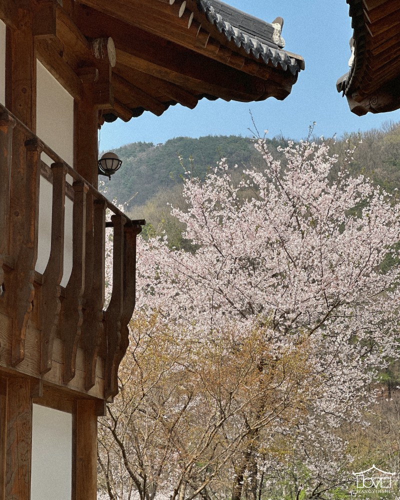 38b31cdfd23e3b6bbaee957dd15454b5_1713170659_9935.jpg 38b31cdfd23e3b6bbaee957dd15454b5_1713170659_9935.jpg