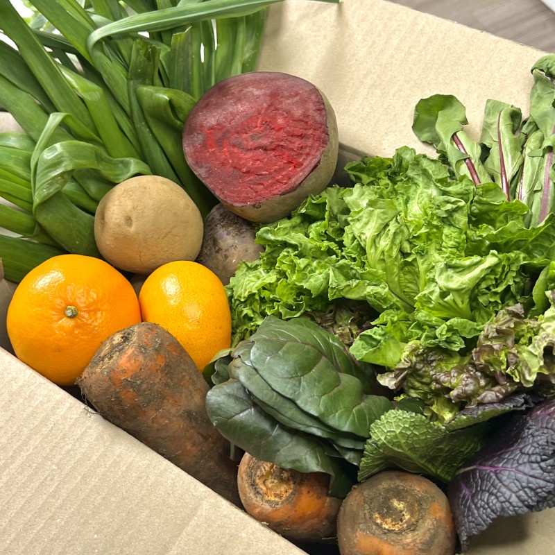 49cff98f2be5db86f41dcfde5505c862_1713364040_8919.jpg 49cff98f2be5db86f41dcfde5505c862_1713364040_8919.jpg