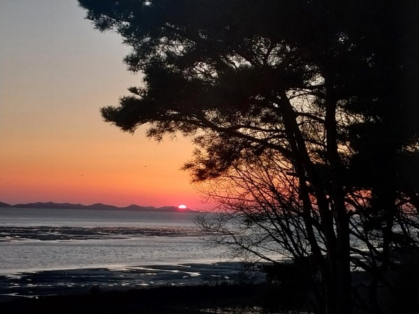 5f5b492e5cfde9c2349924b3cae96271_1713320169_8869.png 5f5b492e5cfde9c2349924b3cae96271_1713320169_8869.png