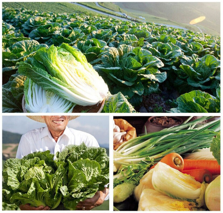 7012fe2e99d6a4e4405efd5e8bc9229b_1713933208_4396.png 7012fe2e99d6a4e4405efd5e8bc9229b_1713933208_4396.png