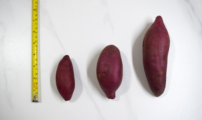 937fb39d93fdca22b9a560c562f8569d_1712196855_7967.jpg 937fb39d93fdca22b9a560c562f8569d_1712196855_7967.jpg