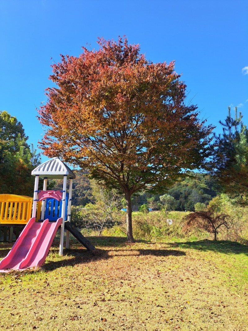 b56ffc93fe16993018bc975479bc9b75_1713972581_9946.jpg b56ffc93fe16993018bc975479bc9b75_1713972581_9946.jpg