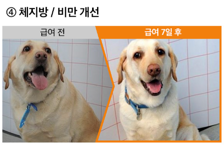 c8c3aab563a2755ee4eacbe85ba3fb8a_1712291021_7777.png c8c3aab563a2755ee4eacbe85ba3fb8a_1712291021_7777.png