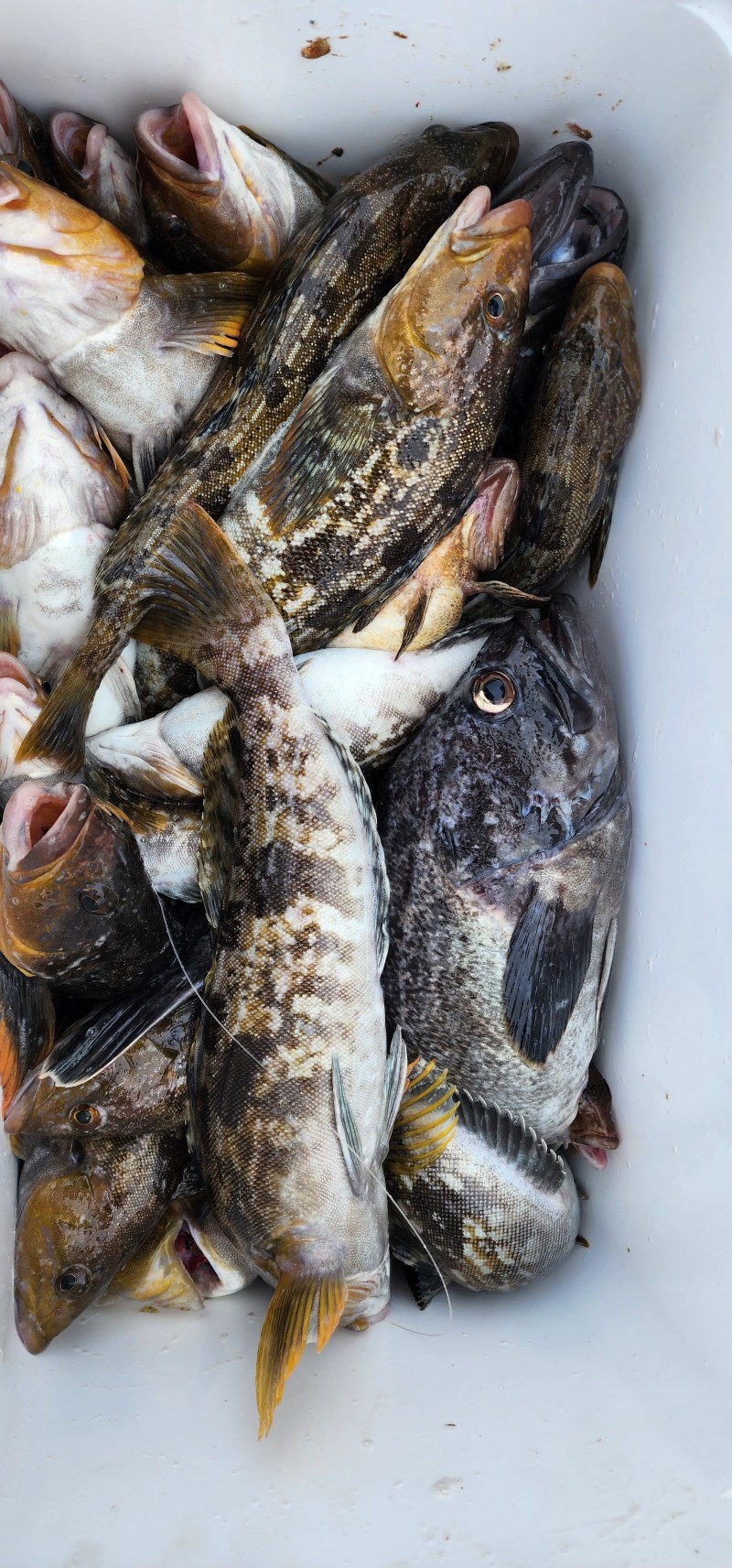 e59946fba73bf43fbd8e0a30e0107b84_1713858305_9082.jpg e59946fba73bf43fbd8e0a30e0107b84_1713858305_9082.jpg