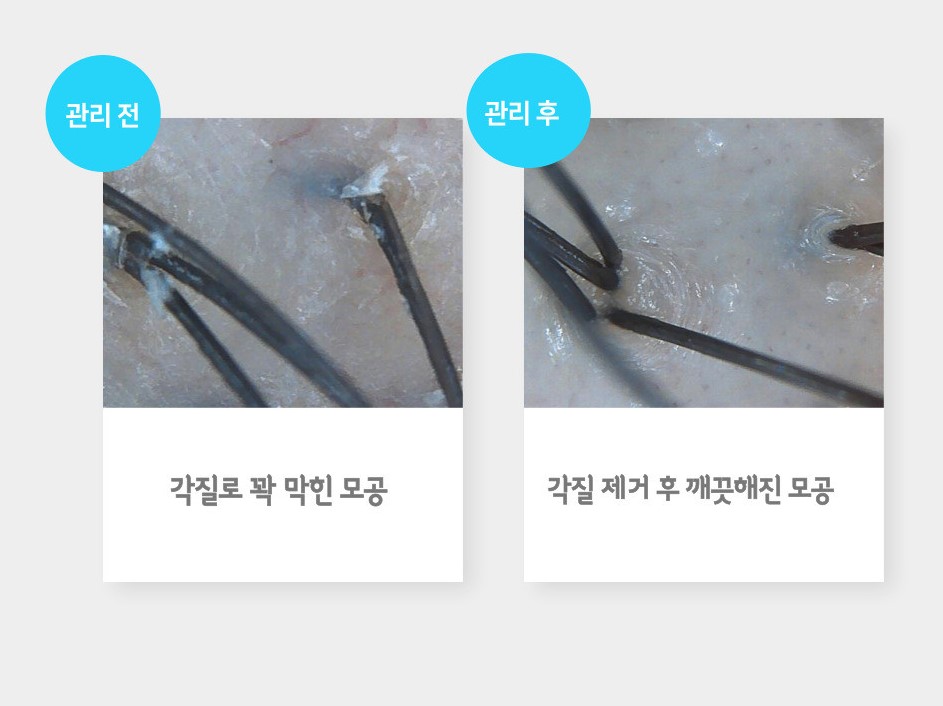 42c717a4247e620897758f0c526a760c_1716446743_833.jpeg 42c717a4247e620897758f0c526a760c_1716446743_833.jpeg