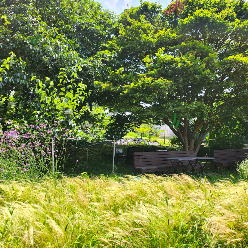 47896a1f3bc581c8e772331d09b15910_1715134792_964.png 47896a1f3bc581c8e772331d09b15910_1715134792_964.png