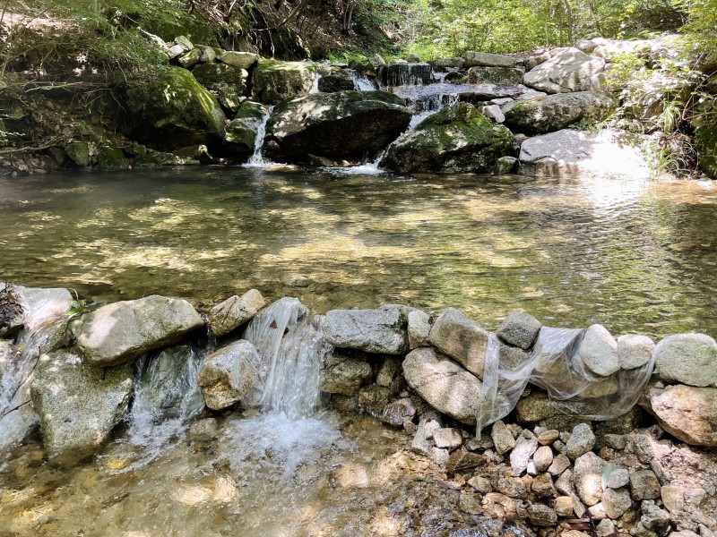 5e83d9df69ccd57601401fa7d3b86498_1714612882_5298.jpg 5e83d9df69ccd57601401fa7d3b86498_1714612882_5298.jpg