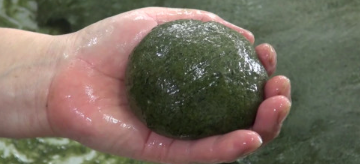 83211100321f42d6a1d4e47a36dbbd1b_1716432002_8271.png 83211100321f42d6a1d4e47a36dbbd1b_1716432002_8271.png