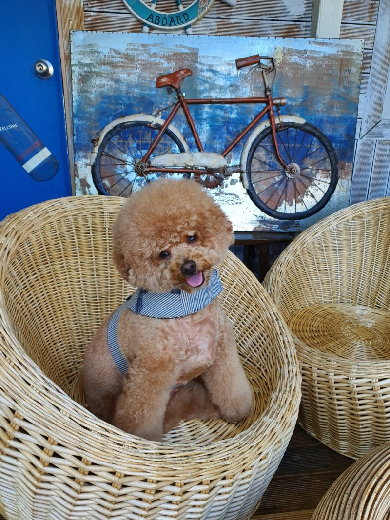 8d89ef4cf6b5370350a270e1330eaa86_1716862001_3274.png 8d89ef4cf6b5370350a270e1330eaa86_1716862001_3274.png