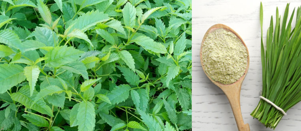 b87e8701721b444e77ac416ef1f70c6b_1716515327_2226.png b87e8701721b444e77ac416ef1f70c6b_1716515327_2226.png