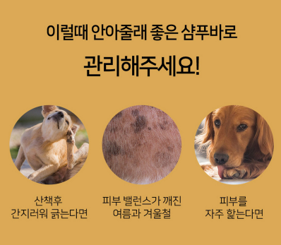 b8fd18a81235509cedb4e41e5c462ad3_1716777935_9255.png b8fd18a81235509cedb4e41e5c462ad3_1716777935_9255.png