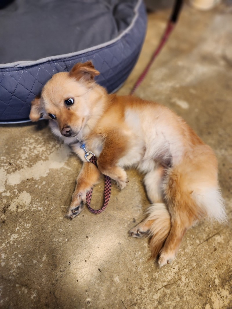 c2611914e5ac0adb18a36602db7617e0_1717035151_9421.jpg c2611914e5ac0adb18a36602db7617e0_1717035151_9421.jpg