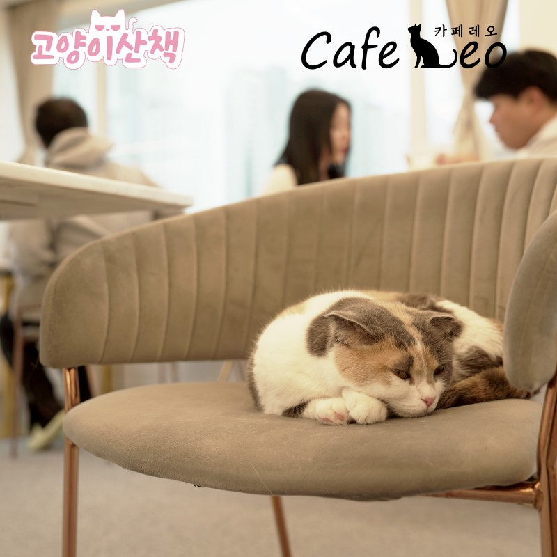 da5fa1282464f45cadb04ccfefb3e656_1716518834_531.jpg da5fa1282464f45cadb04ccfefb3e656_1716518834_531.jpg