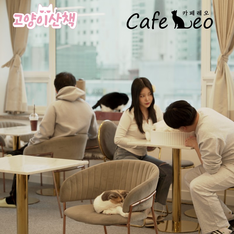 da5fa1282464f45cadb04ccfefb3e656_1716518837_7467.jpg da5fa1282464f45cadb04ccfefb3e656_1716518837_7467.jpg