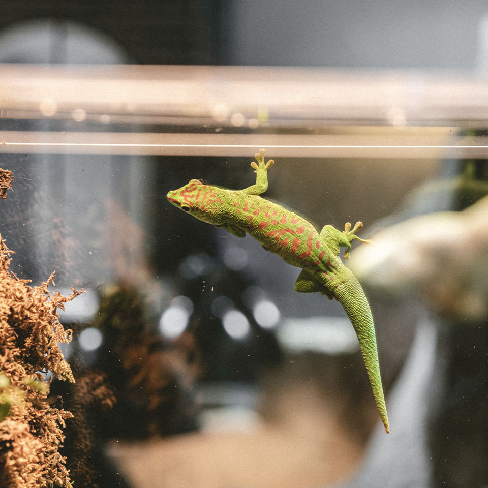 11f72cf23b5d81bcd1314479b0edca92_1718114630_8516.jpg 11f72cf23b5d81bcd1314479b0edca92_1718114630_8516.jpg