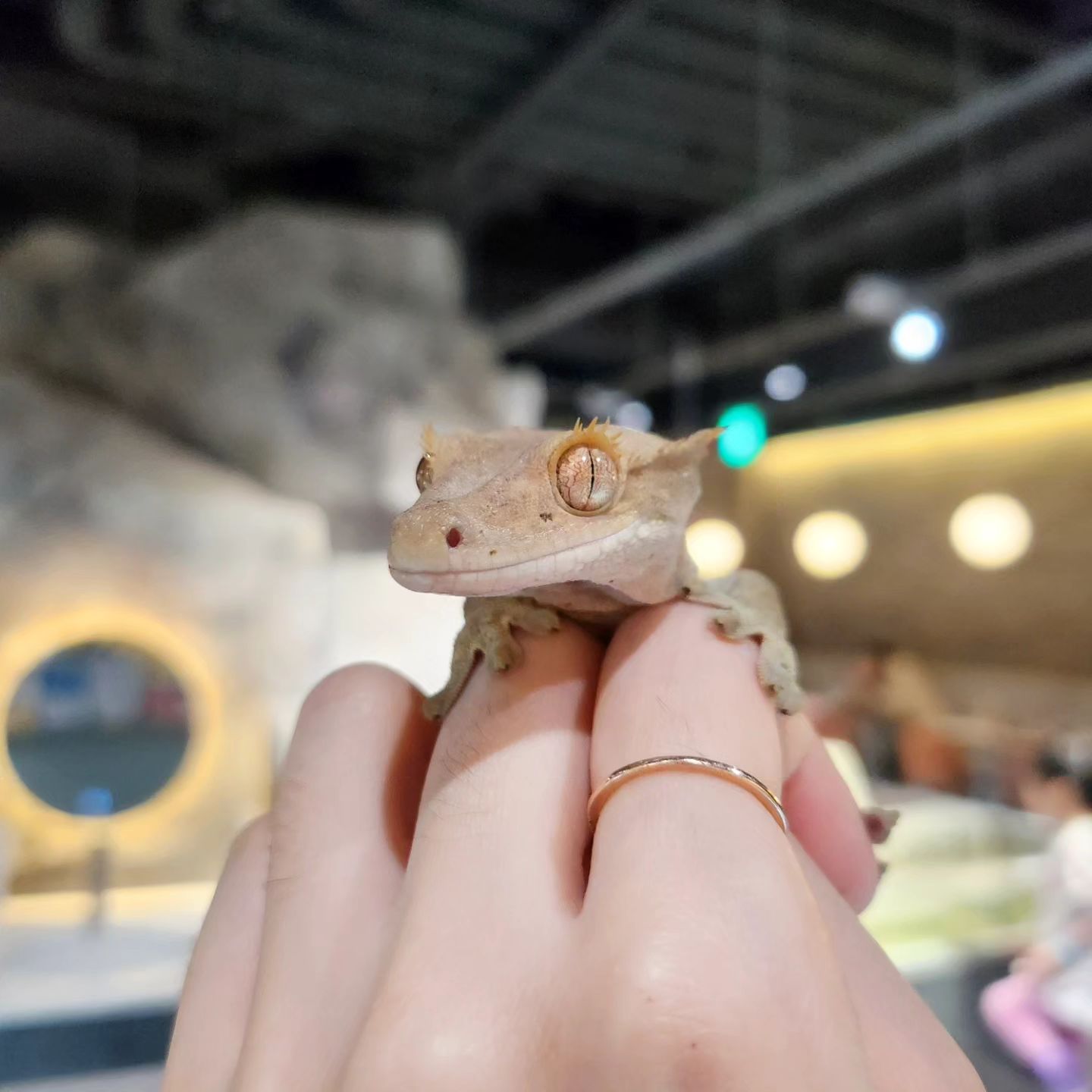 11f72cf23b5d81bcd1314479b0edca92_1718114631_0075.jpeg 11f72cf23b5d81bcd1314479b0edca92_1718114631_0075.jpeg