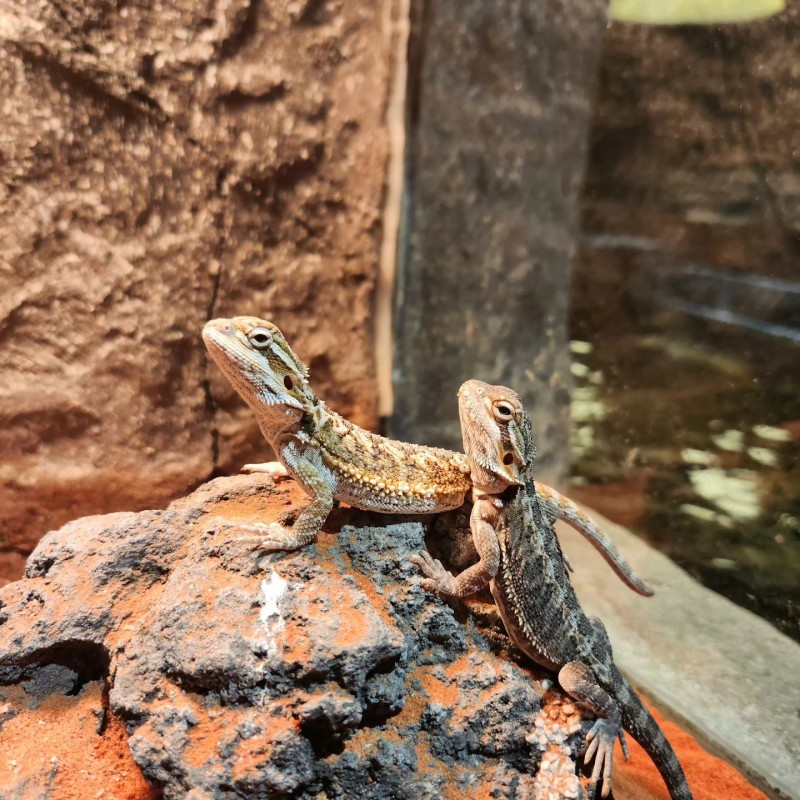 11f72cf23b5d81bcd1314479b0edca92_1718114631_2004.jpeg 11f72cf23b5d81bcd1314479b0edca92_1718114631_2004.jpeg