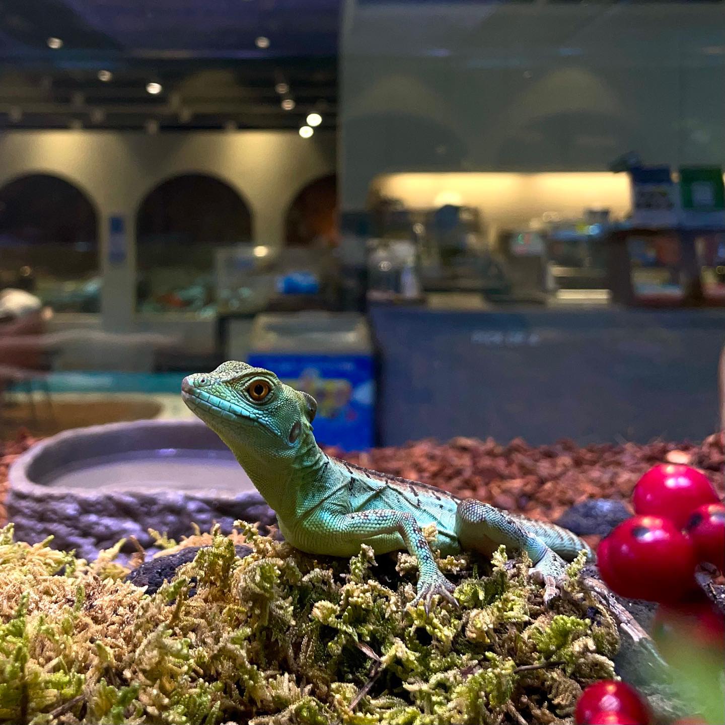 11f72cf23b5d81bcd1314479b0edca92_1718115447_7834.jpeg 11f72cf23b5d81bcd1314479b0edca92_1718115447_7834.jpeg