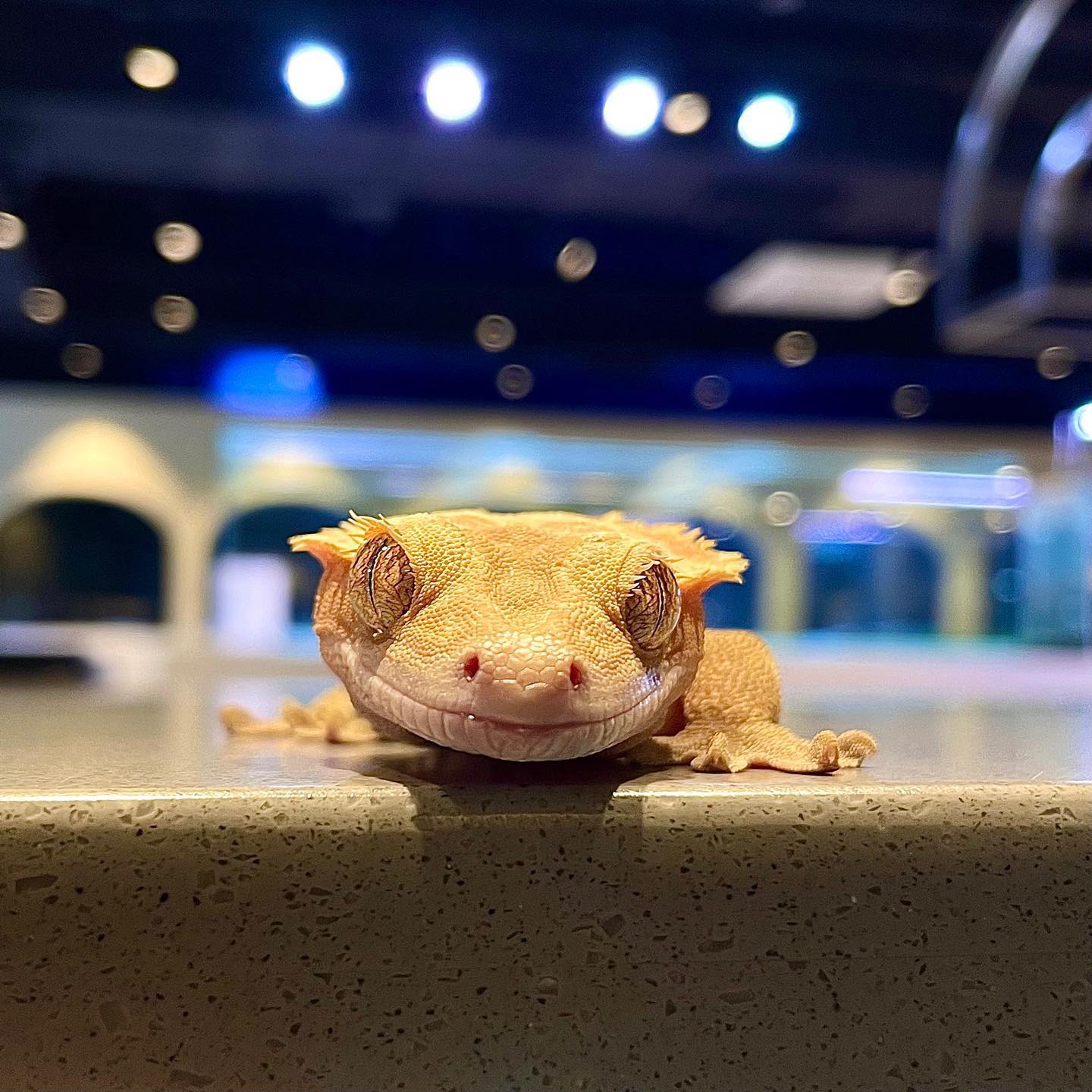 11f72cf23b5d81bcd1314479b0edca92_1718115448_1784.jpeg 11f72cf23b5d81bcd1314479b0edca92_1718115448_1784.jpeg