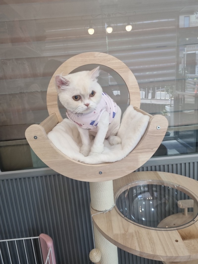 2d9be5ff50b0470b6ad7621faa8b59b4_1718244998_4389.jpg 2d9be5ff50b0470b6ad7621faa8b59b4_1718244998_4389.jpg