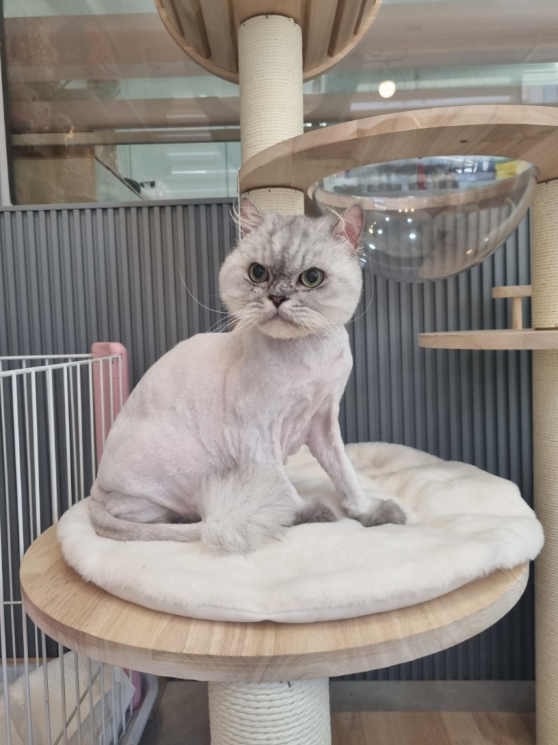 2d9be5ff50b0470b6ad7621faa8b59b4_1718245002_9755.jpg 2d9be5ff50b0470b6ad7621faa8b59b4_1718245002_9755.jpg