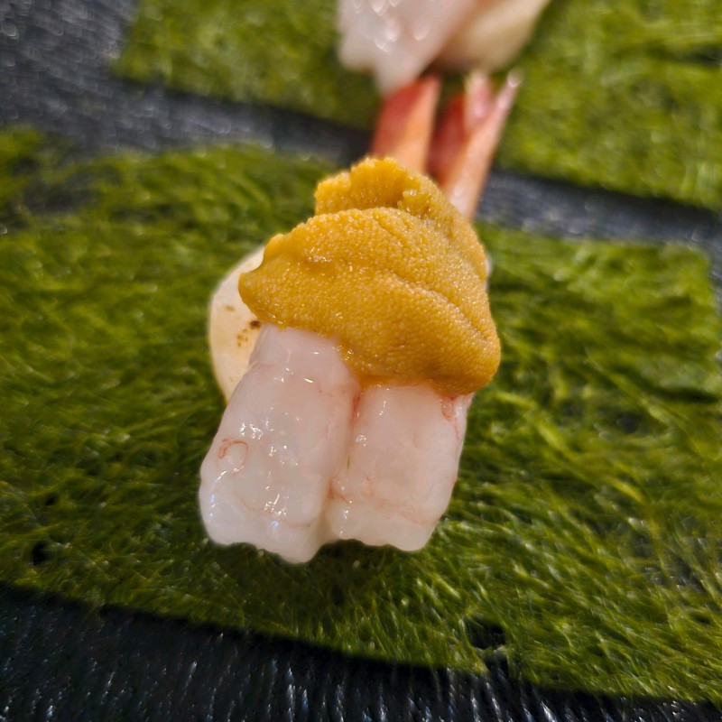 65863051d08337ba001a9acb86892810_1717780573_7349.jpg 65863051d08337ba001a9acb86892810_1717780573_7349.jpg