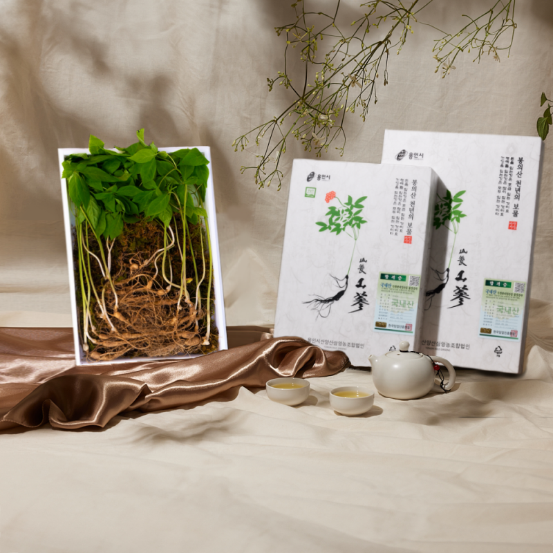 8b7f9b36a57eb375ec6fcf44fe41df2d_1718072155_4716.png 8b7f9b36a57eb375ec6fcf44fe41df2d_1718072155_4716.png