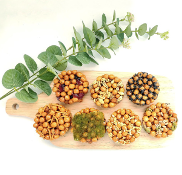 b16a81fa8ab64d73717f439636c63e44_1718936132_7413.png b16a81fa8ab64d73717f439636c63e44_1718936132_7413.png