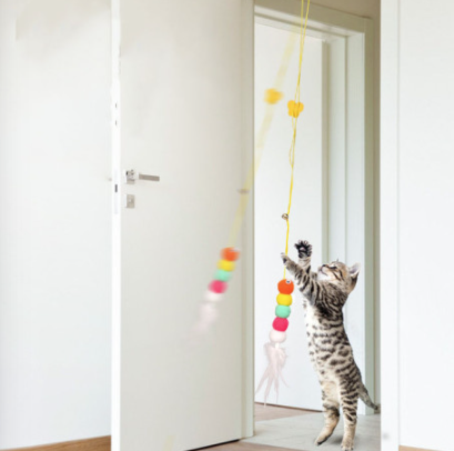 08bd0b80980ffbe47159730941fc0e28_1721020915_7798.png 08bd0b80980ffbe47159730941fc0e28_1721020915_7798.png