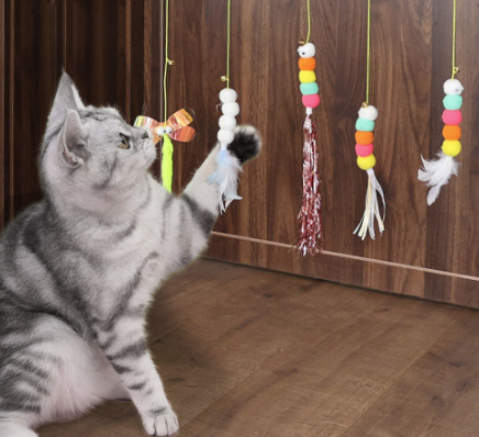 08bd0b80980ffbe47159730941fc0e28_1721020915_9874.png 08bd0b80980ffbe47159730941fc0e28_1721020915_9874.png