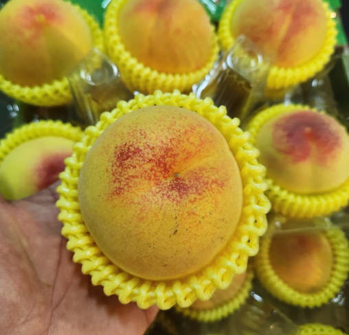 377ba2fd9a4d7e4f6461a325f63778bc_1721709302_1399.png 377ba2fd9a4d7e4f6461a325f63778bc_1721709302_1399.png