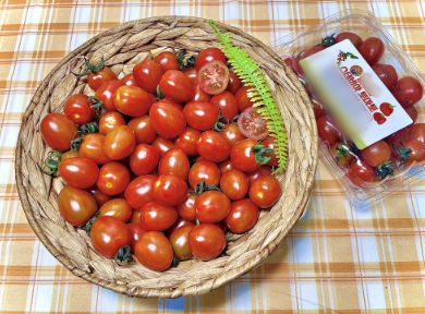 3f31bc382567dfac1c87eaa9bbc33965_1721698943_6568.png 3f31bc382567dfac1c87eaa9bbc33965_1721698943_6568.png