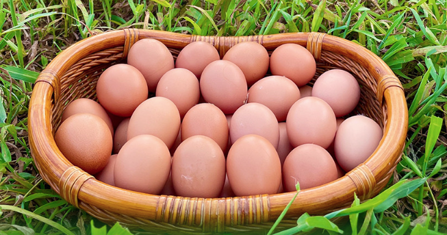 591bd33e87baf80f32e048f650f384be_1721959362_0213.png 591bd33e87baf80f32e048f650f384be_1721959362_0213.png