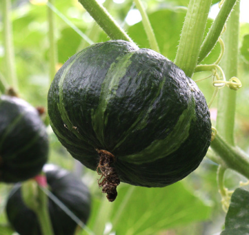 dada0dc73b8d6b0f01cf656afcc07c65_1721279746_2795.png dada0dc73b8d6b0f01cf656afcc07c65_1721279746_2795.png