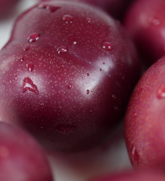 dada0dc73b8d6b0f01cf656afcc07c65_1721279803_5325.png dada0dc73b8d6b0f01cf656afcc07c65_1721279803_5325.png