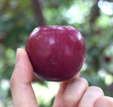 dada0dc73b8d6b0f01cf656afcc07c65_1721279803_6644.png dada0dc73b8d6b0f01cf656afcc07c65_1721279803_6644.png