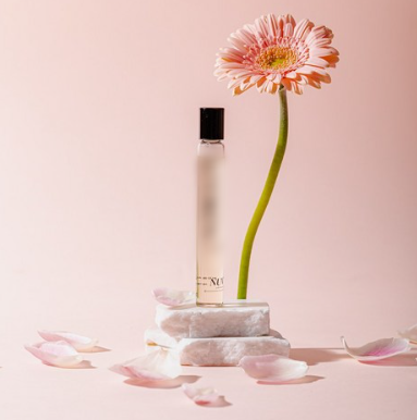 f398f13b938c5349bae7deb3bc61e11d_1720146122_0905.png f398f13b938c5349bae7deb3bc61e11d_1720146122_0905.png