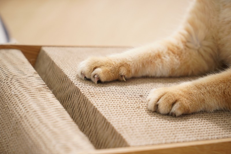 09e9040a276154328bc4fdb21c91fd51_1722877670_591.jpg 09e9040a276154328bc4fdb21c91fd51_1722877670_591.jpg