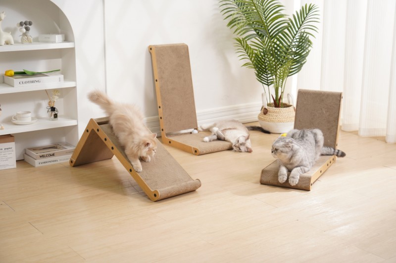 09e9040a276154328bc4fdb21c91fd51_1722877678_4077.jpg 09e9040a276154328bc4fdb21c91fd51_1722877678_4077.jpg